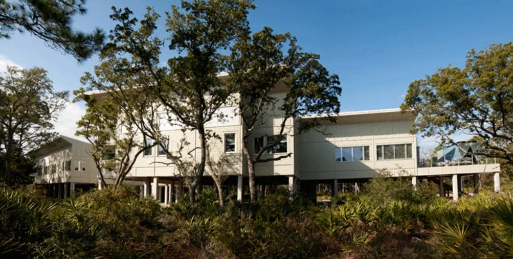 things to do in apalachicola 