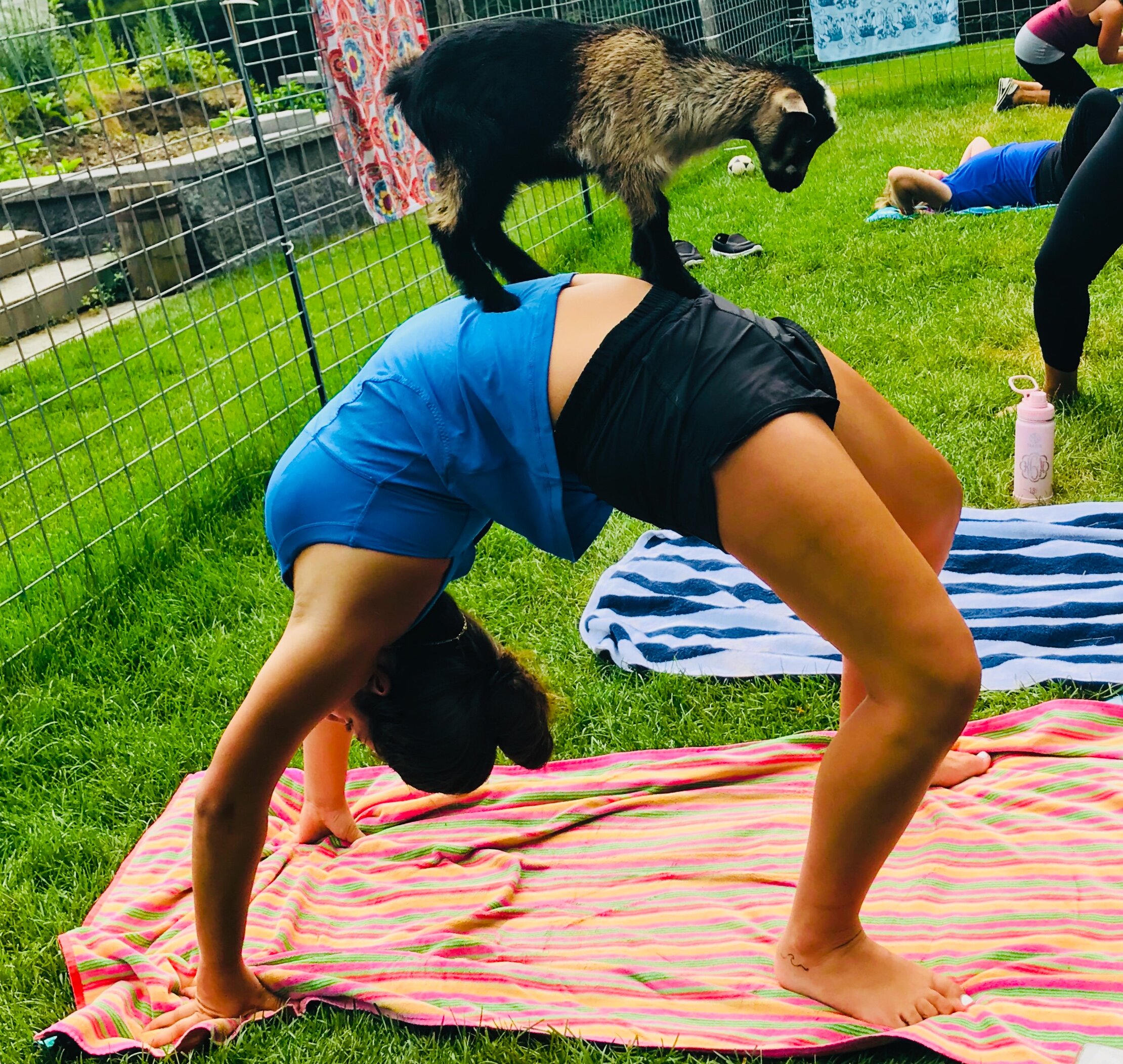 Things to do in Roxbury, NY.