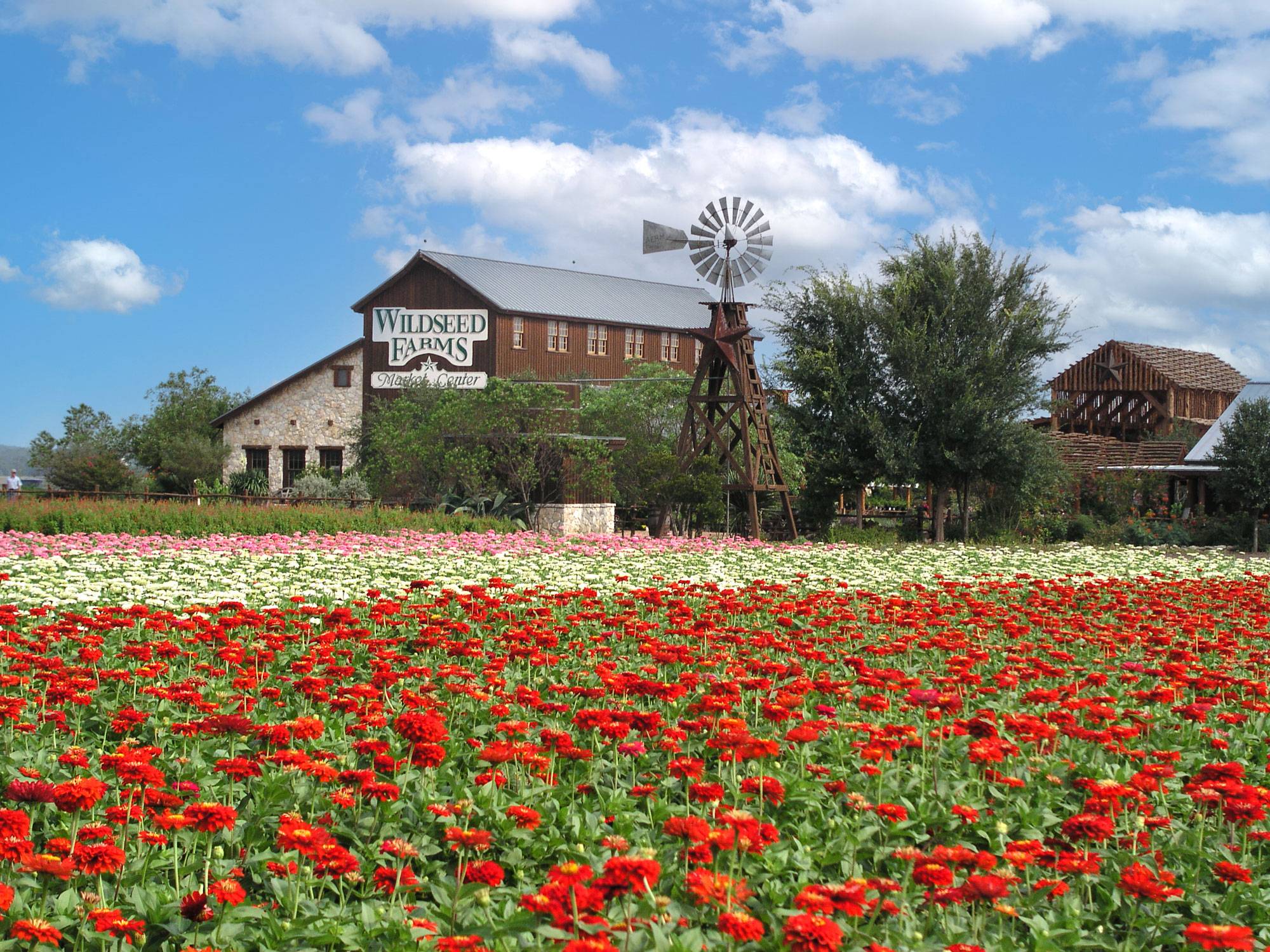 things to do in Fredericksburg, TX